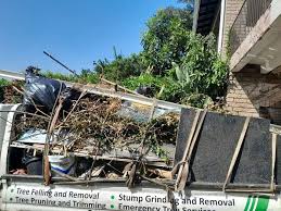 Best Dumpster Rental Services  in Blennerhassett, WV