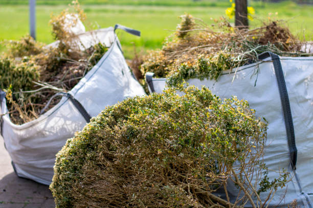Best Commercial Junk Removal  in Blennerhassett, WV